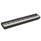 88 Key Compact Digital Piano for Beginners, FP10